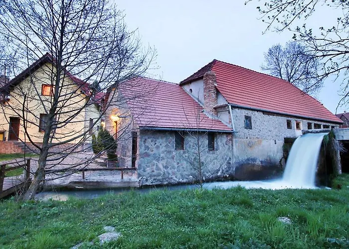 Moara De Piatra Hotel Carta  photo