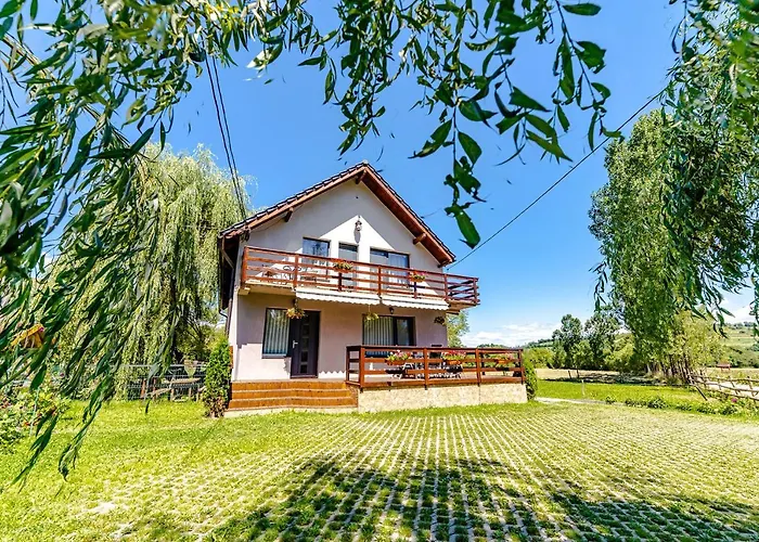 Casa Nitu Hotel Intorsura Buzaului photo