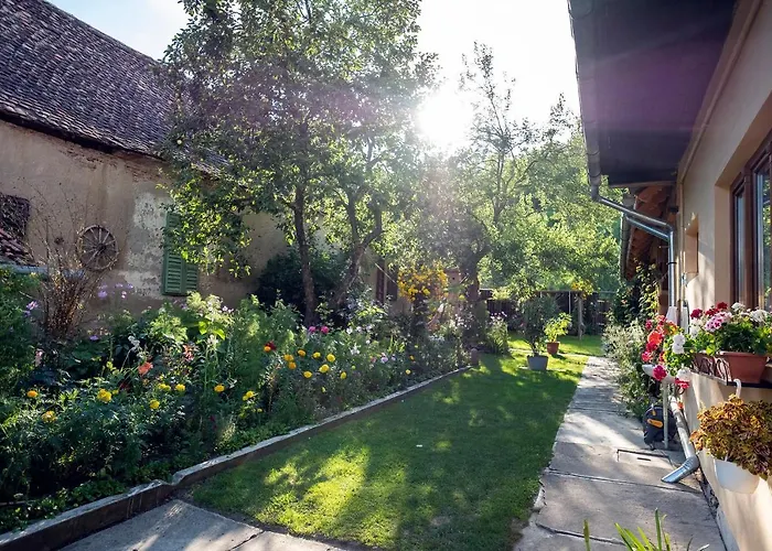 Villa Rihuini Eco Wine House Transylvania Richisu photo