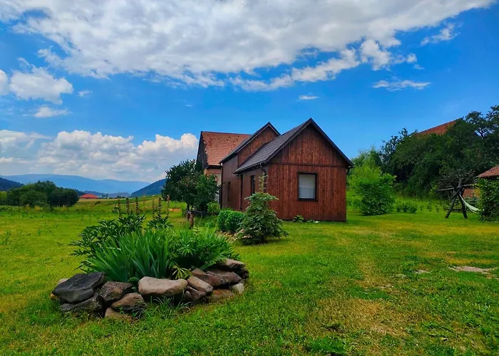 Organicle Lodge Sincraieni photo