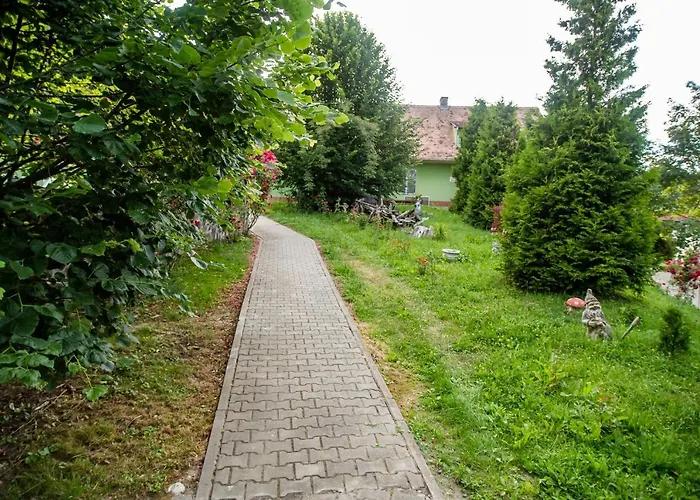 Hotel Marion Poiana Dumbraveni  photo