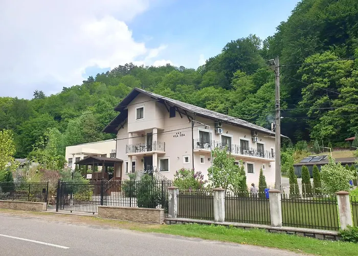 Vila Tisa Tismana photo