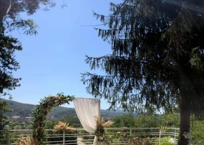 Pensiunea Stejarul Bocsa photo