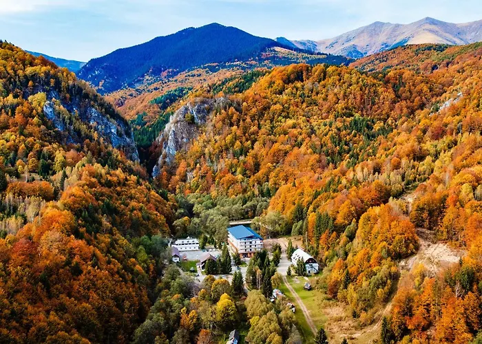 Complexul Turistic Cheile Butii Hotel Cimpu lui Neag photo