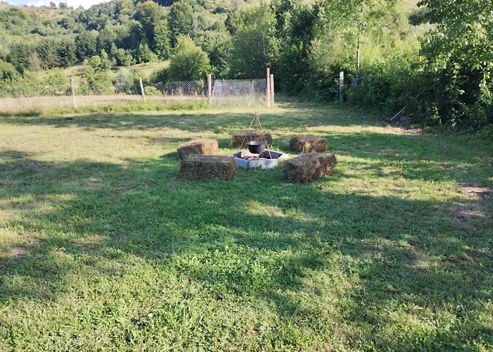 Cabana Lu' Ilie Sinca Noua photo
