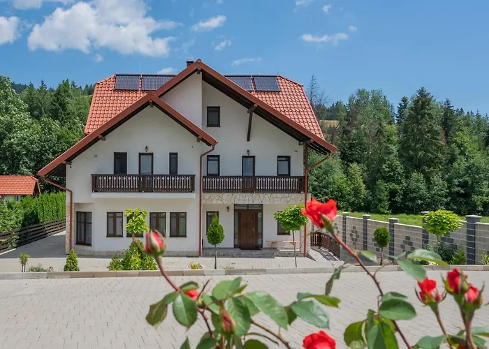 Pensiunea Sofy Mar Poiana Micului photo