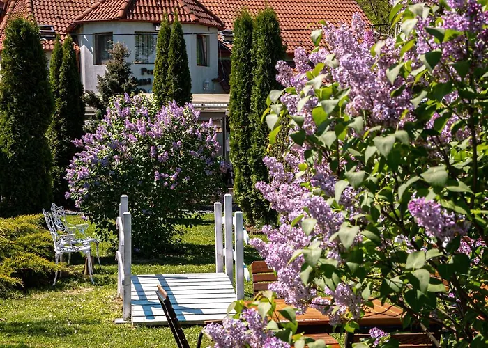 Pensiunea Poiana Avrigului photo