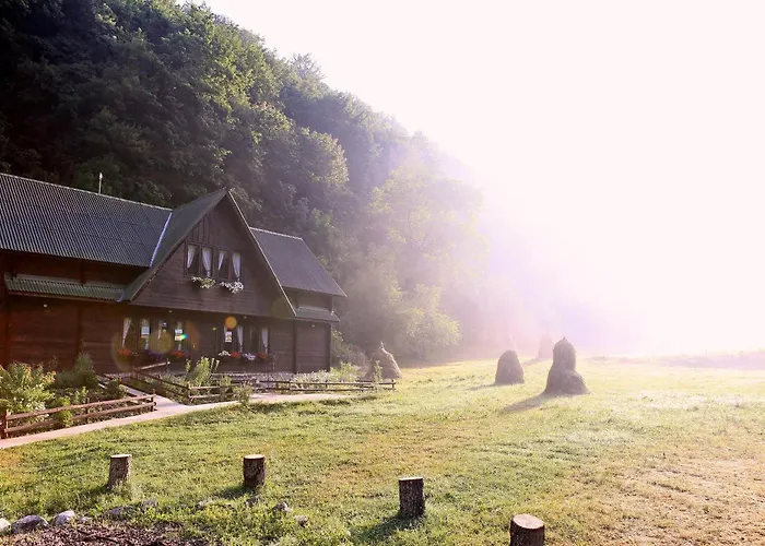 Pensiunea Dacica Bosorod photo