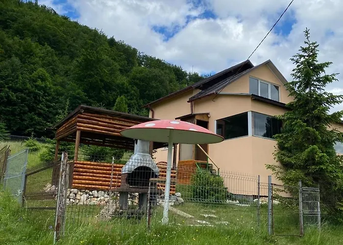 Vila Luca Ciocanu photo