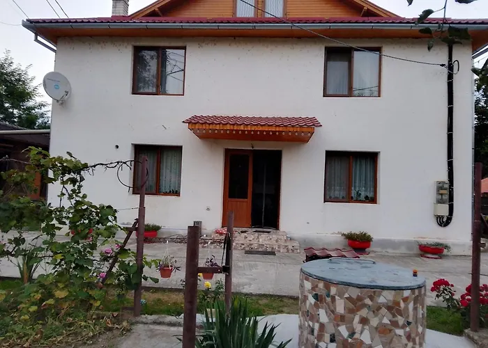 Casa Szabo Apartment Vata de Jos photo