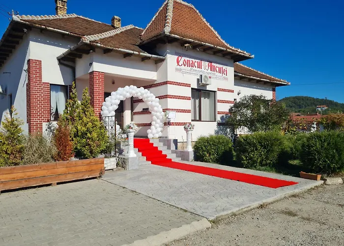Bed and Breakfast Conacul Ancutei Brad  Foto