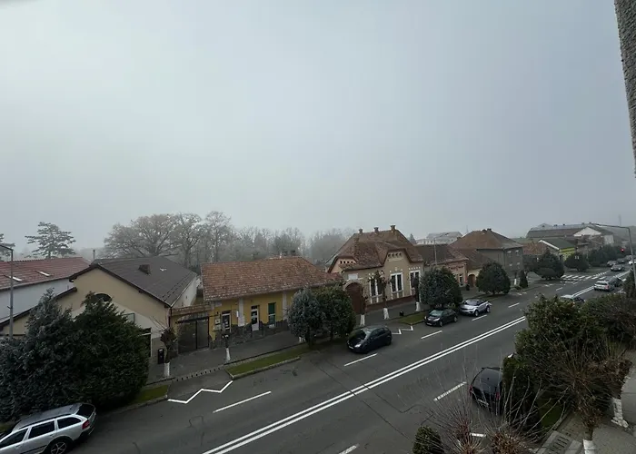 Avenue View - Julie Apartment Blaj photo