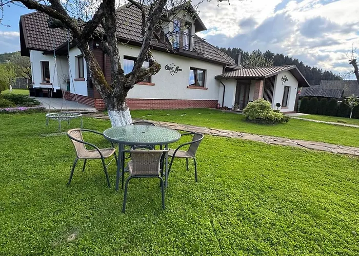 Chalet Bora Viseu de Jos photo