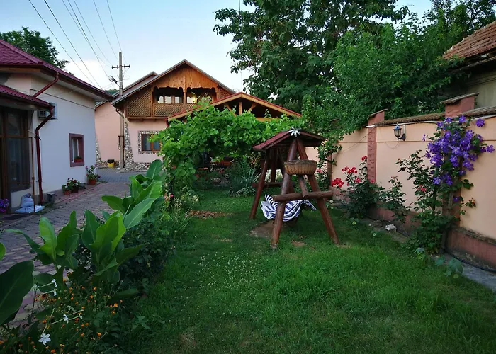 Vila Speranta Pleşcoi foto