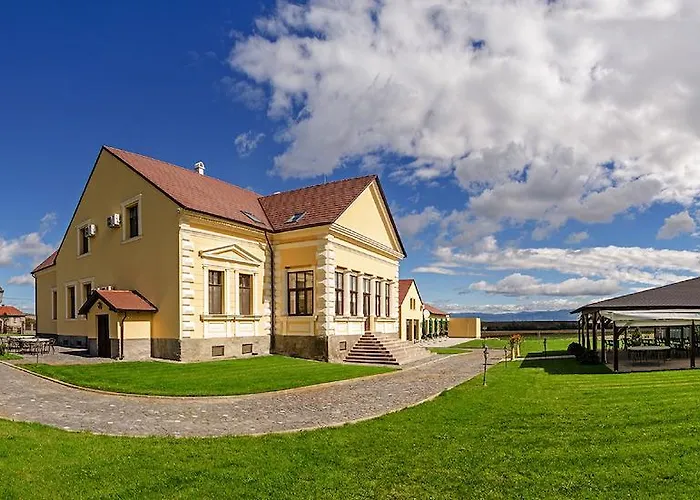 Conacul Benke Hotel Moacsa photo