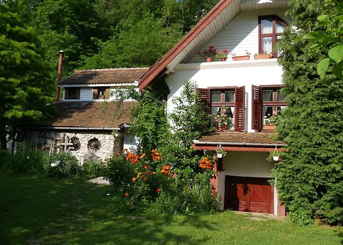 IEDERA Casa de Familii 1 Hotel Pianu de Sus foto