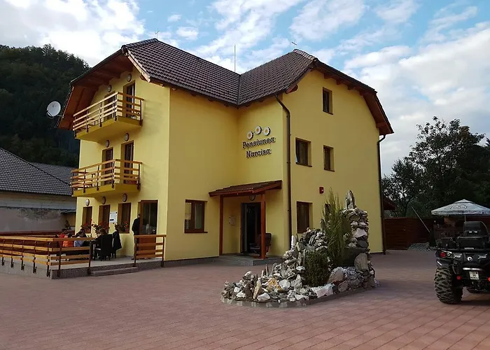 Pensiunea Narcisa Romuli photo
