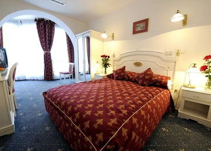 Hotel Phoenix Vata de Jos photo