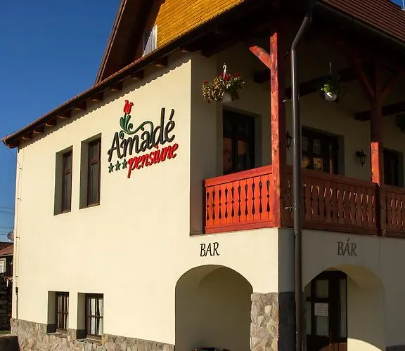 Amade Pension & Restaurant Siculeni photo
