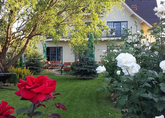 Villa Westfalia Guest House Tirgu Secuiesc photo