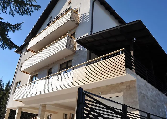 Transylvania Villa & Spa Muntele Baisorii photo