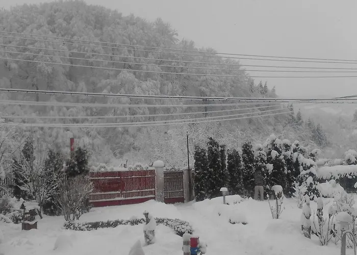 Pensiunea D O R U Arges Cotenesti photo