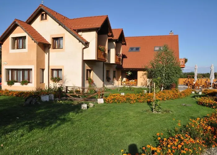 Pension Lunca Sibielului foto