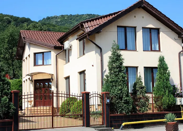 Silva House Hotel Deva photo