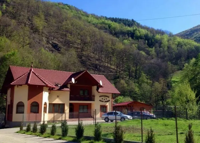 Pensiunea Silva Dobra Sugag photo