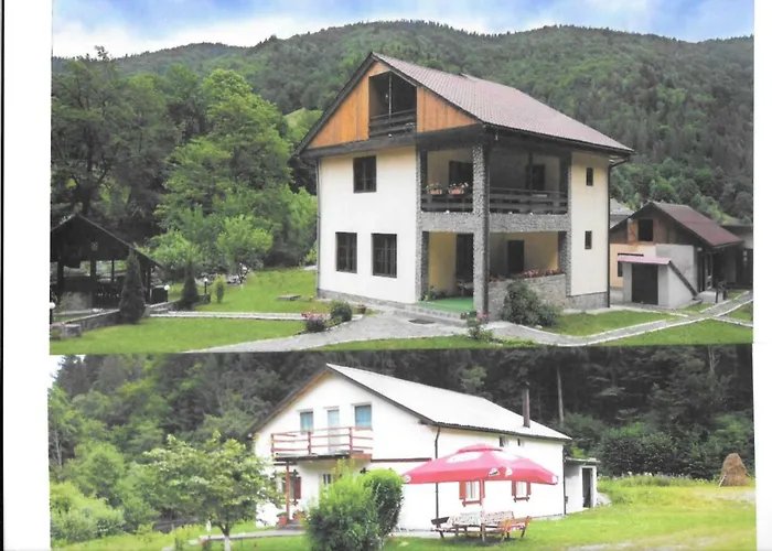 Pensiunea Bobu Hotel Izvoru Muntelui photo
