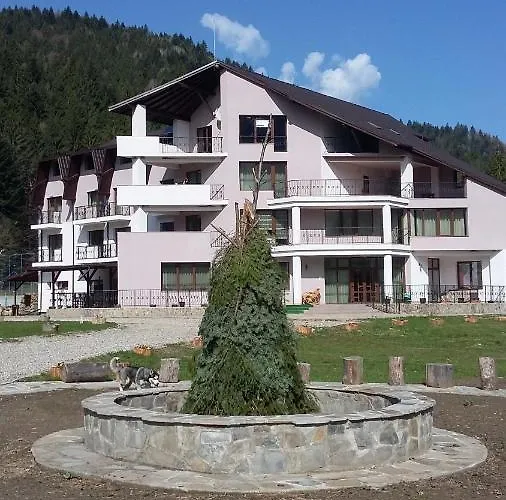 Pensiunea Poiana Soarelui Brates photo